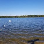 White’s Place Campground