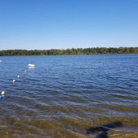 White’s Place Campground ico