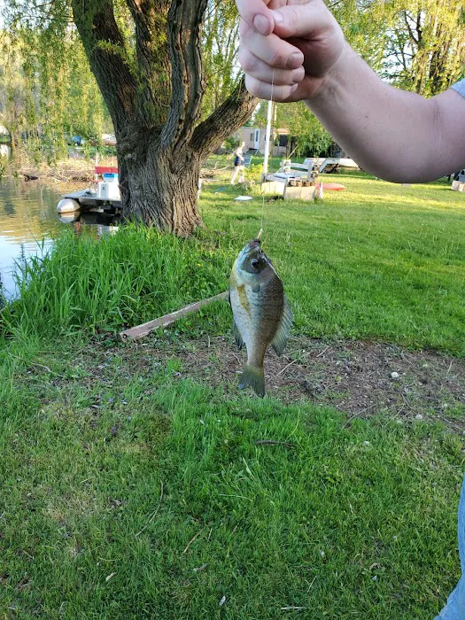Walden Woods Campground Picture 9