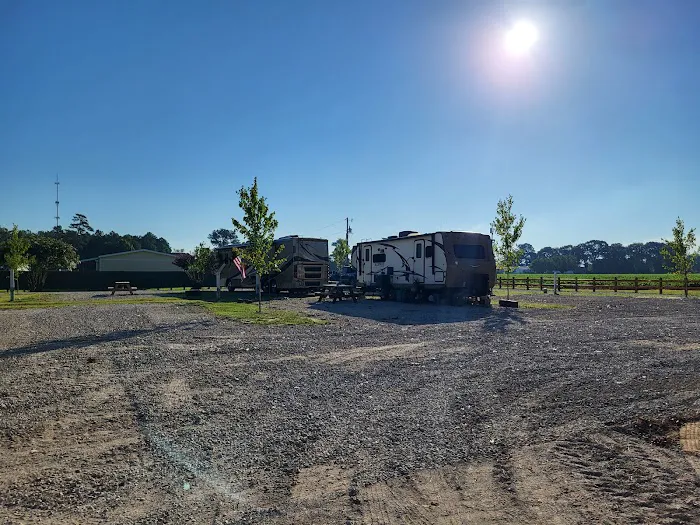 Piney Grove RV Park Picture 3