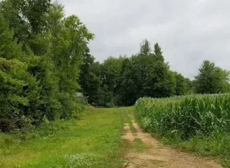 Quality Camping Inc