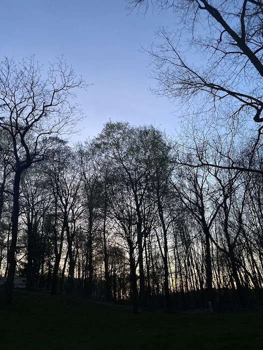 Wildcat Woods Campgrounds Picture 7