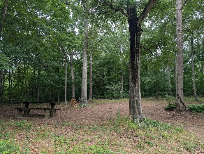 Ocoee River Experience, LLC Picture 9