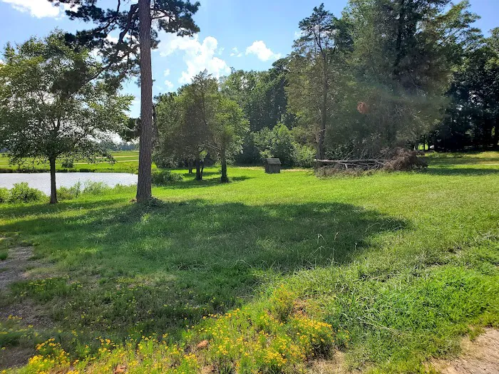 Morehead Farms Campground Picture 9