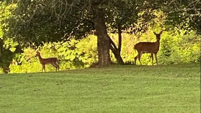 Fox Den Meadow Picture 2