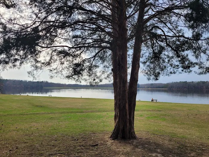 Cane Creek Campground Picture 5