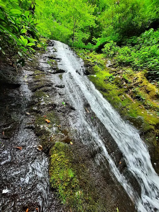 Curtis Creek Campground Picture 9