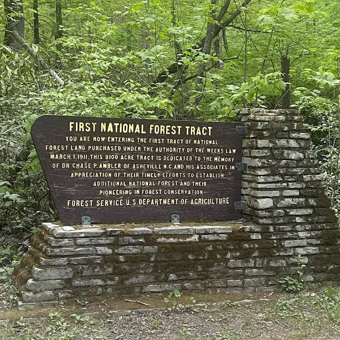 Curtis Creek Campground Picture 2