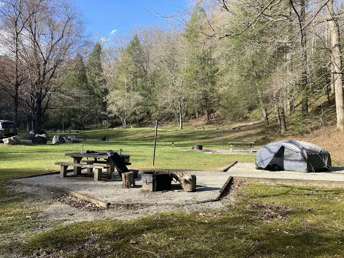 Curtis Creek Campground Picture 7