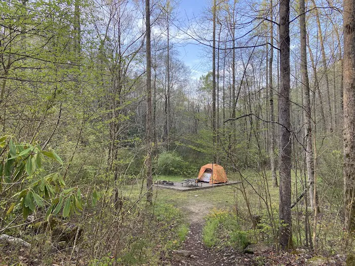 Curtis Creek Campground Picture 8