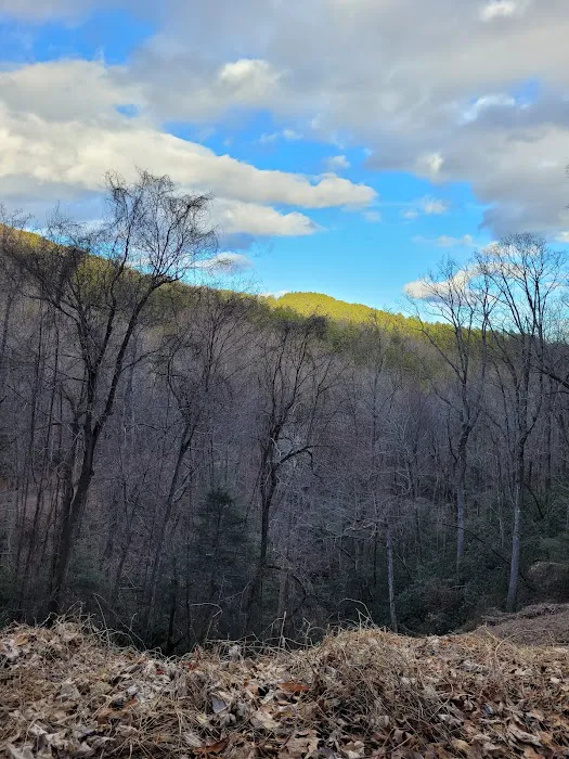 Curtis Creek Campground Picture 6
