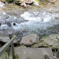Curtis Creek Campground ico