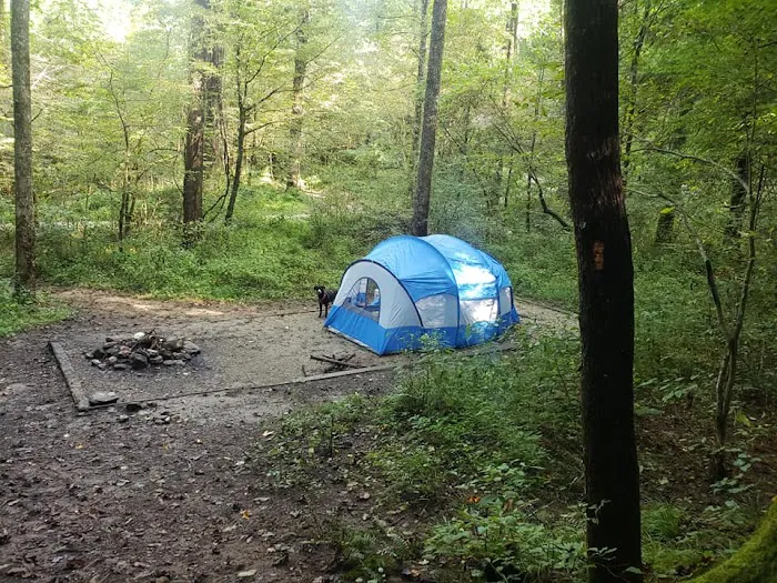 Curtis Creek Campground Picture 5