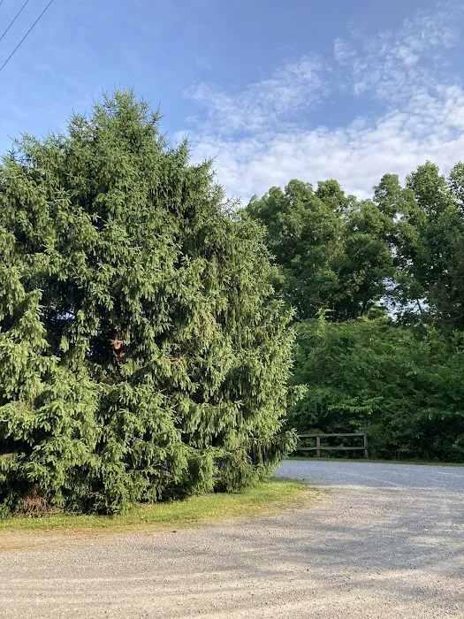 Blue Moon RV Park (Formerly Overniter RV Park) Picture 4