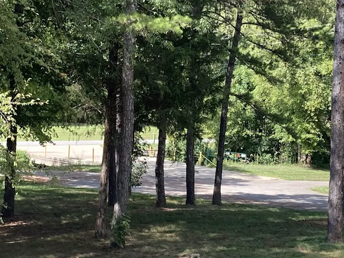 Dragon Mountain RV & Cabin Resort Picture 6