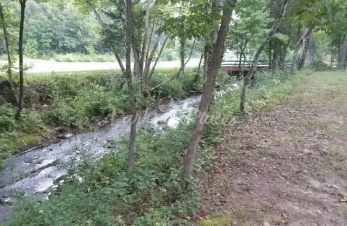 Dragon Mountain RV & Cabin Resort Picture 4