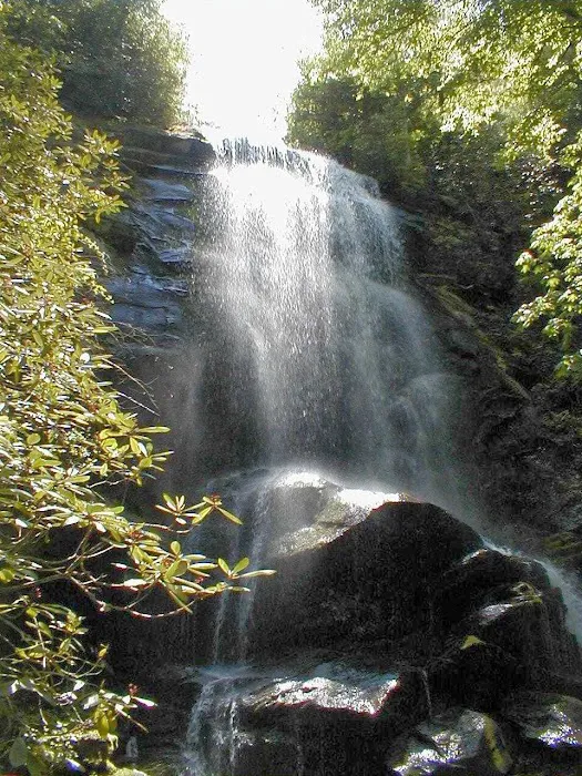 Catawba Falls Campground, LLC Picture 8