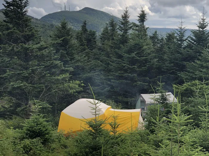 Mt. Mitchell Campground Picture 9