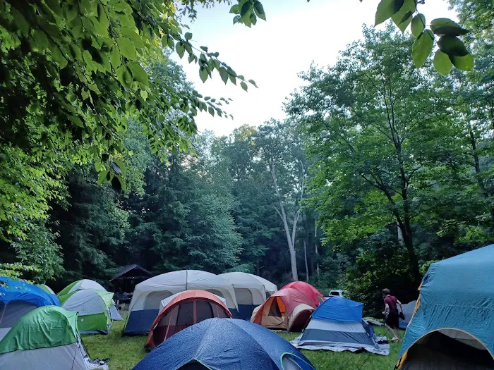 Mt. Mitchell Campground Picture 2