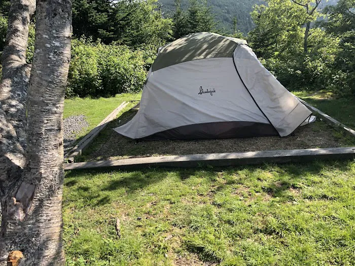 Mt. Mitchell Campground Picture 6