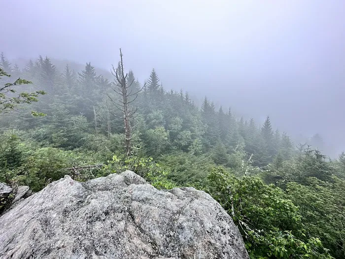 Mt. Mitchell Campground Picture 7