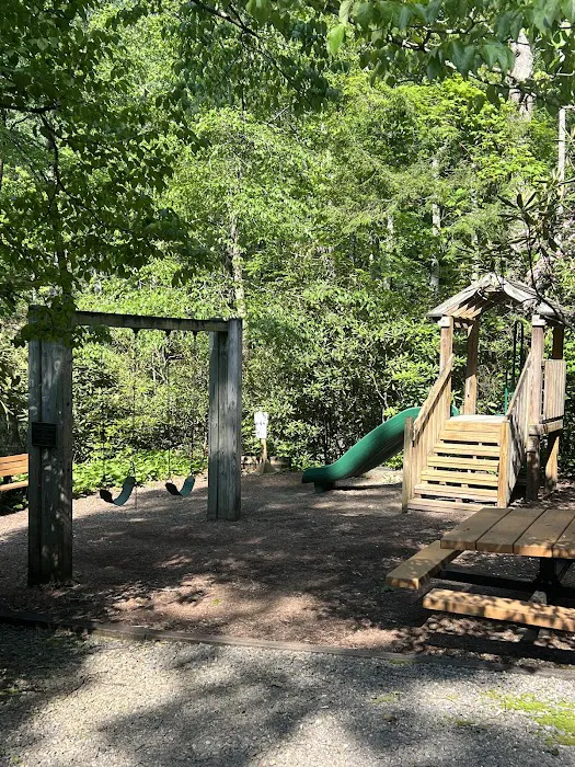 Montreat Campground Picture 4