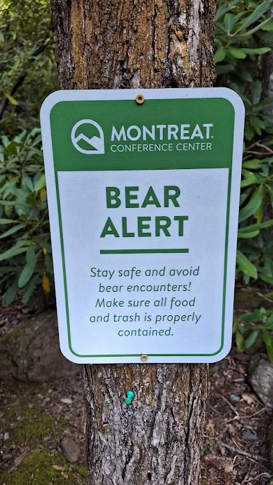 Montreat Campground Picture 8