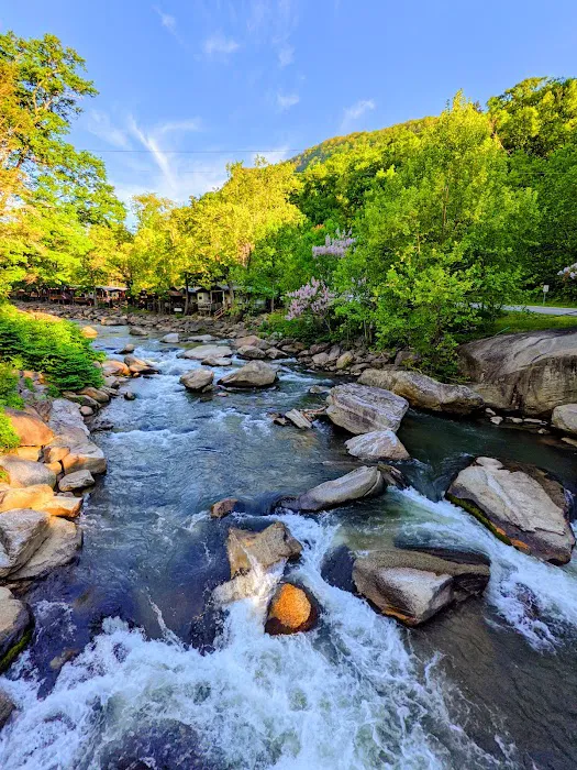 Hickory Nut Falls Family Campground Picture 2