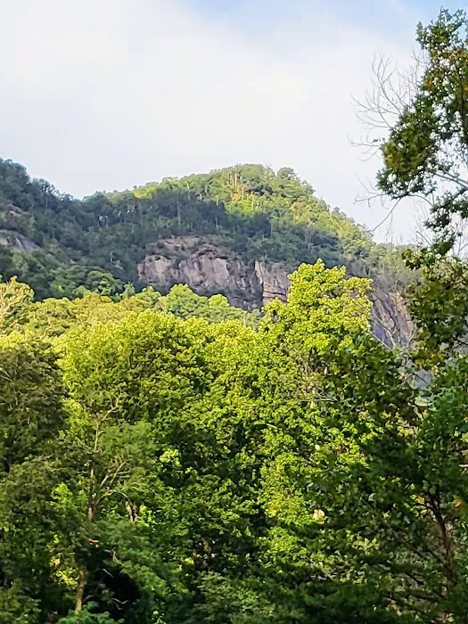 Hickory Nut Falls Family Campground Picture 8