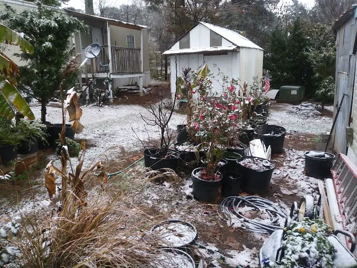 Winder Village Picture 9