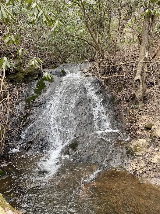 Paris Mountain State Park Campground Picture 7