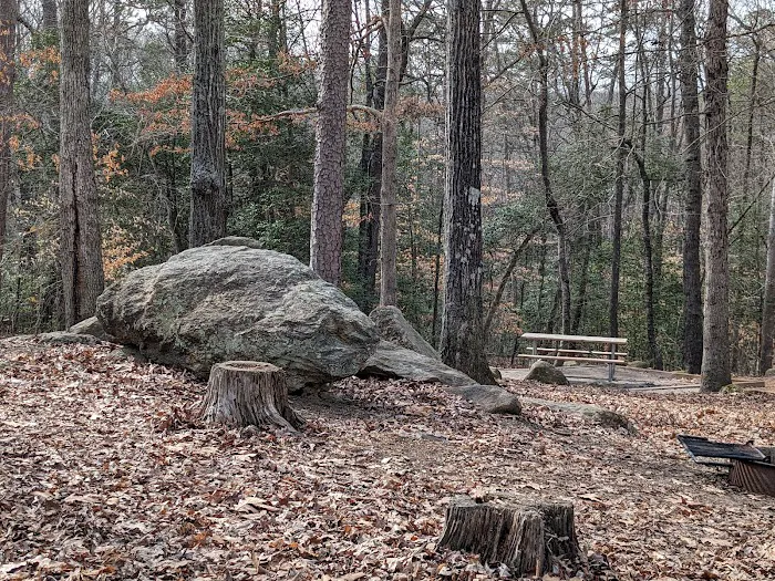 Paris Mountain State Park Campground Picture 8