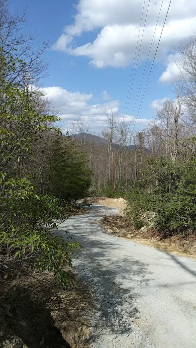 Drala Point Campgrounds Picture 2