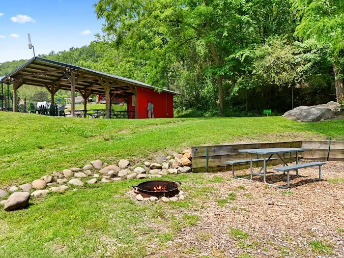Jonesborough / Cherokee NF KOA Journey Picture 5