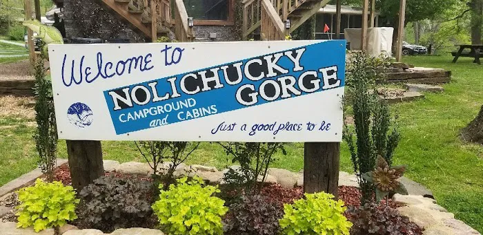 Nolichucky Gorge Campground Picture 10