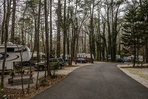Pine Lake RV Campground Picture 3