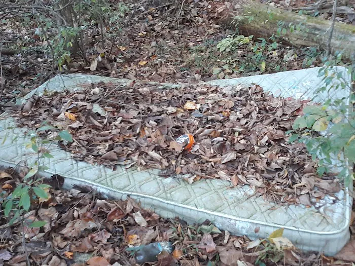 Katy Branch Picture 10