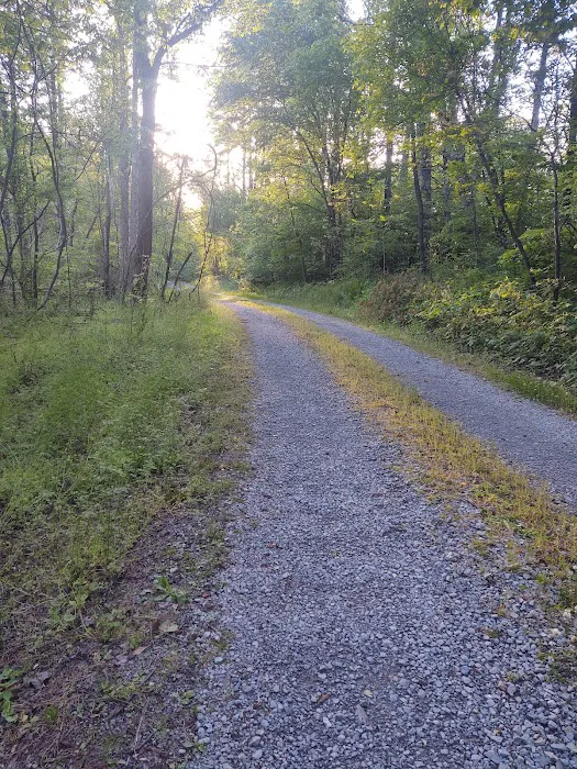 Katy Branch Picture 5