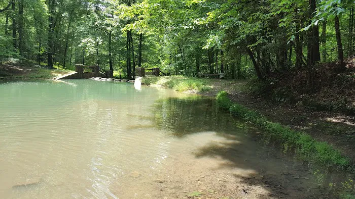 US Forestry Department Picture 2