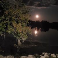 Windy Rivers Campground ico