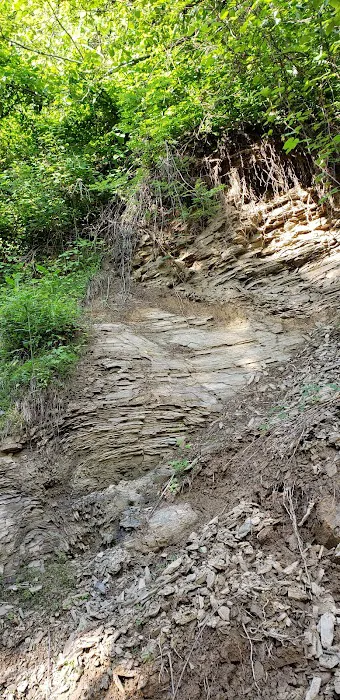 Evarts atv camp ground Picture 10