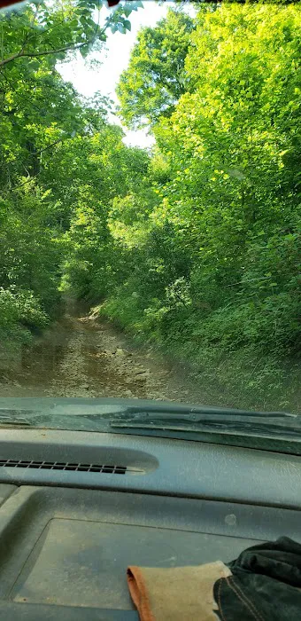 Evarts atv camp ground Picture 4