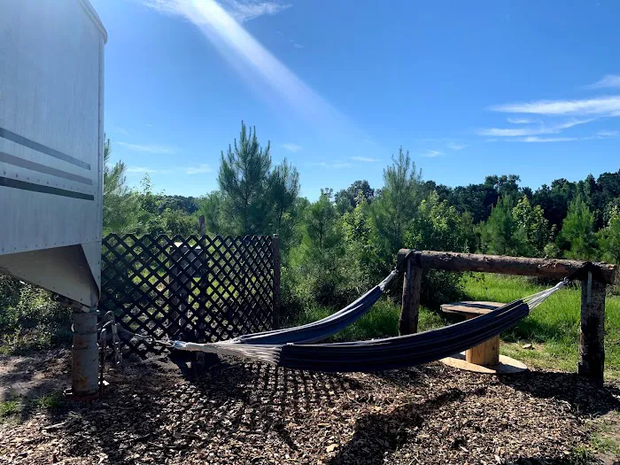 Glamping at Laurel Oaks Picture 6