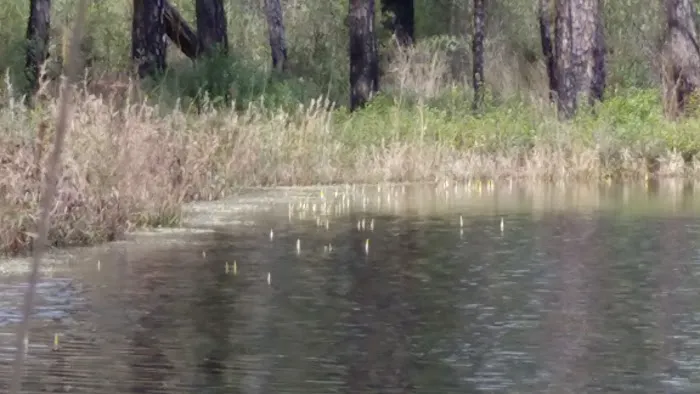 Hoffman Wildlife Turnoff Picture 2