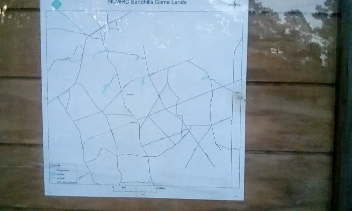 Sandhills campground b Picture 2