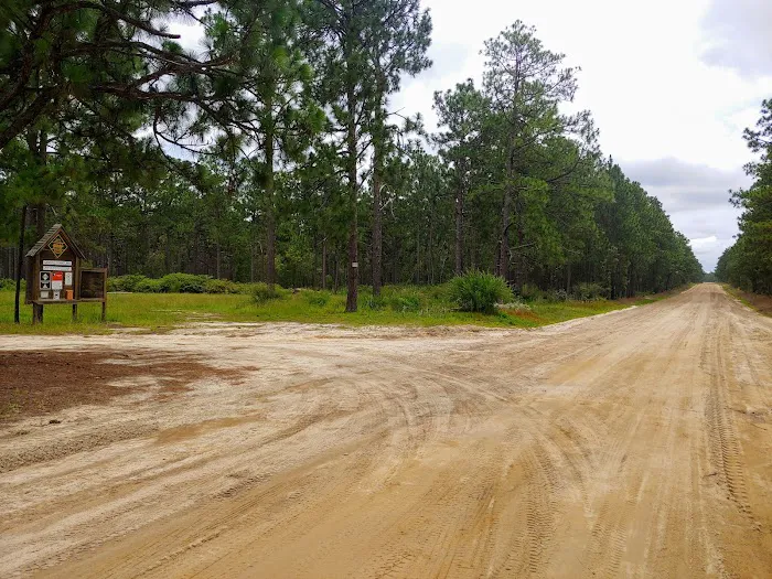 Sandhills campground b Picture 6