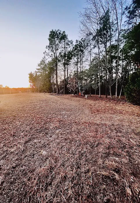 Racetrack Campground Picture 7