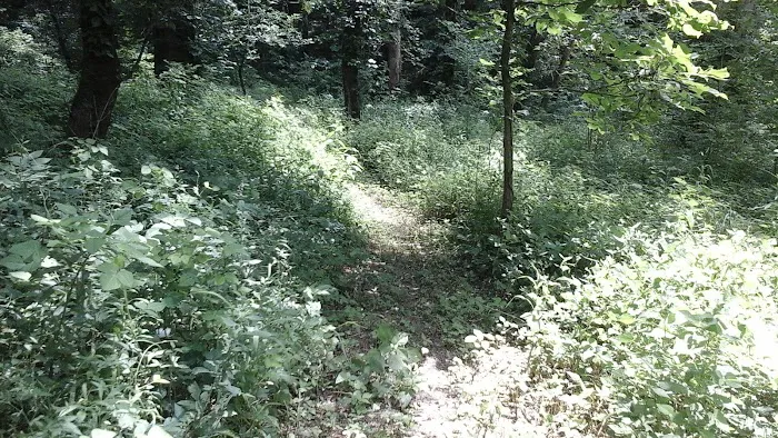Miller's Creek Camping Area Picture 8