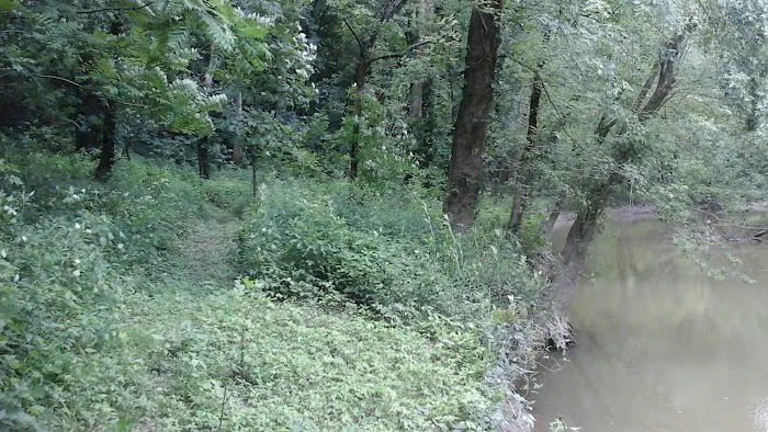 Miller's Creek Camping Area Picture 5