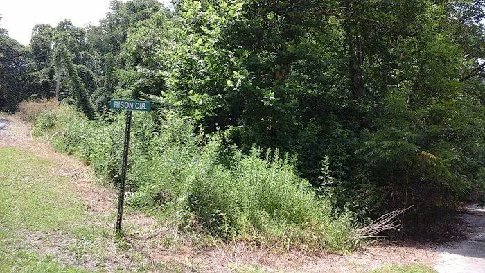 Miller's Creek Camping Area Picture 6